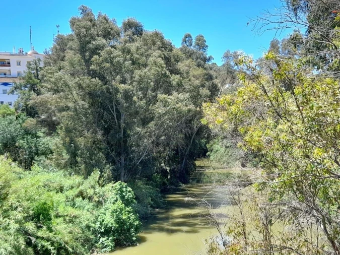 Moradia T2 para Venda em Alcoutim e Pereiro Foto 65