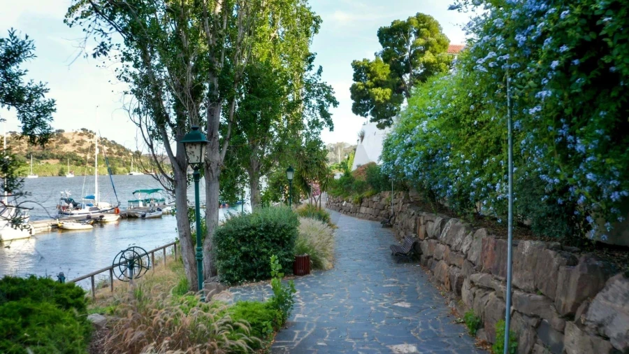 Moradia T2 para Venda em Alcoutim e Pereiro Foto 64