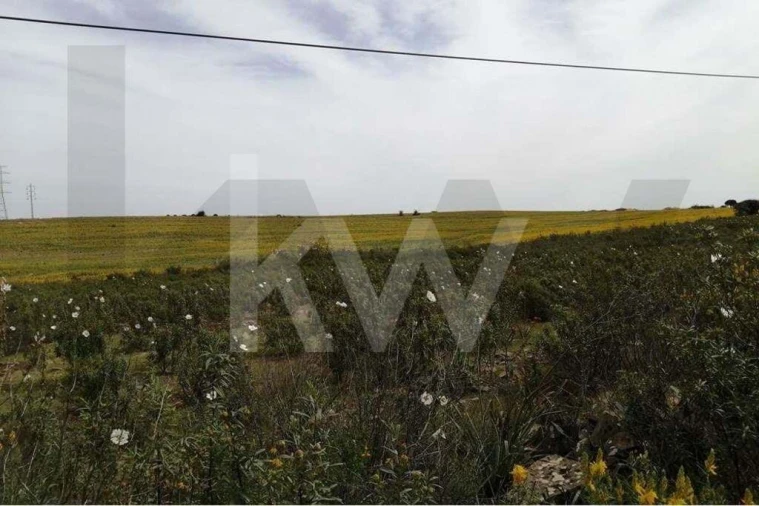 Moradia T2 para Venda em Alcoutim e Pereiro Foto 32