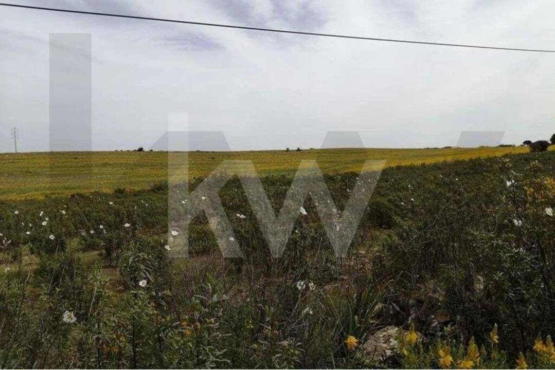 Moradia T2 para Venda em Alcoutim e Pereiro Foto 30