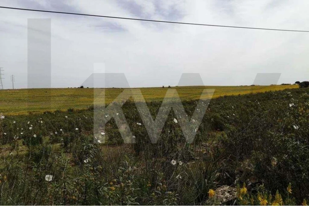 Moradia T2 para Venda em Alcoutim e Pereiro Foto 32