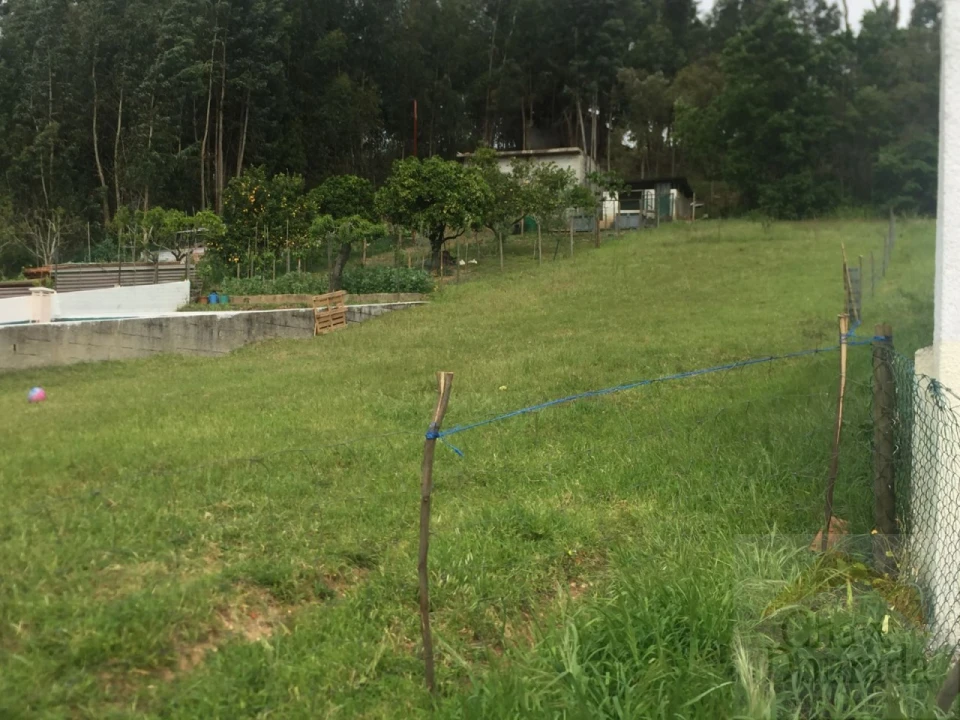 Terreno para Venda em São Martinho do Bispo e Ribeira de Frades Foto 5