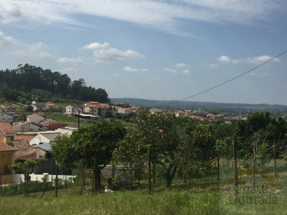 Terreno para Venda em São Martinho do Bispo e Ribeira de Frades Foto 6
