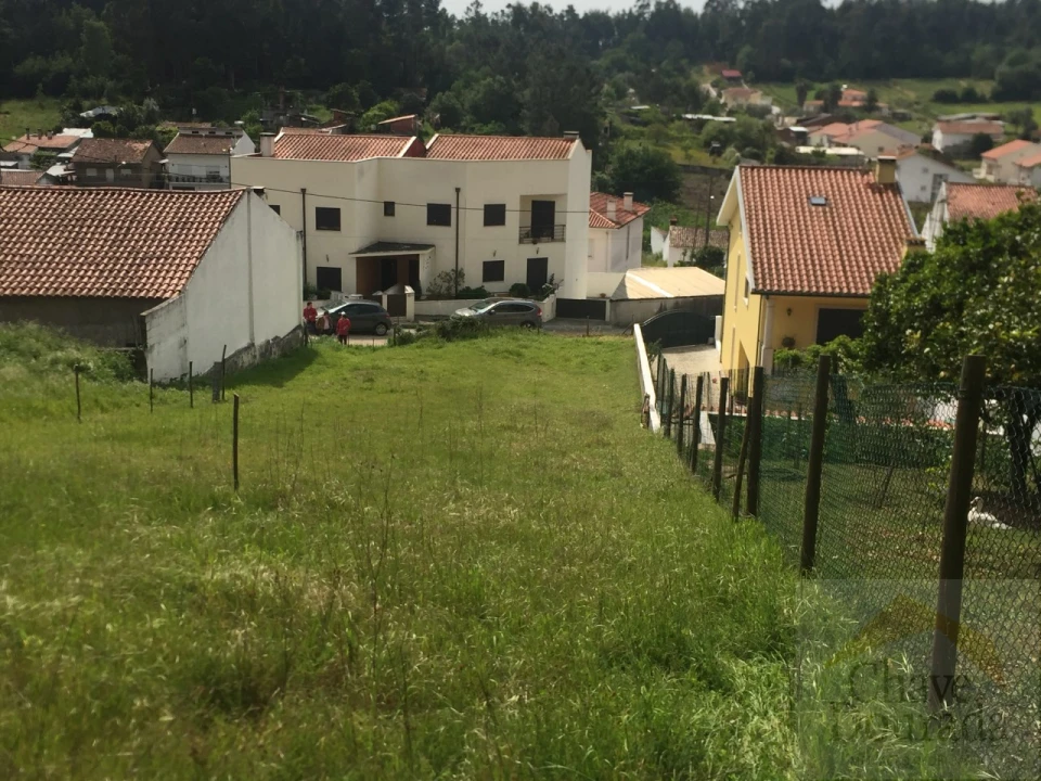 Terreno para Venda em São Martinho do Bispo e Ribeira de Frades Foto 7