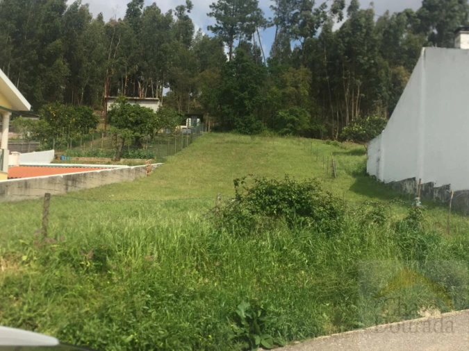 Terreno para Venda em São Martinho do Bispo e Ribeira de Frades Foto 3