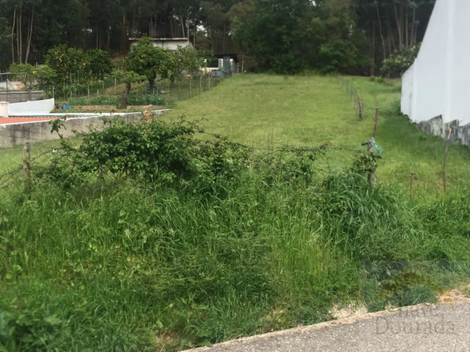 Terreno para Venda em São Martinho do Bispo e Ribeira de Frades Foto 4