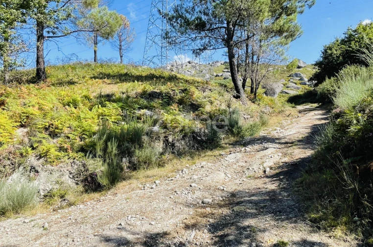 Terreno para Venda em Rossas Foto 19
