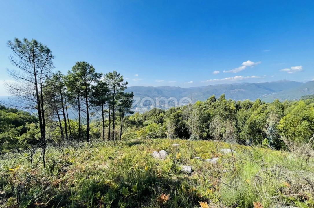 Terreno para Venda em Rossas Foto 15