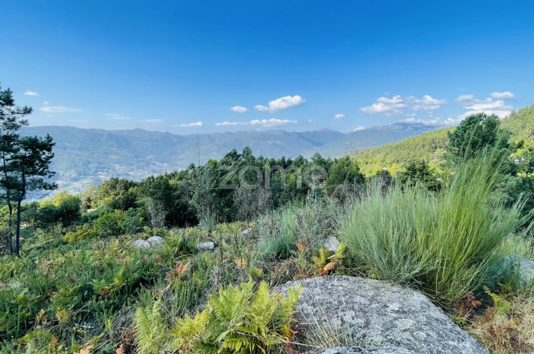 Terreno para Venda em Rossas Foto 16