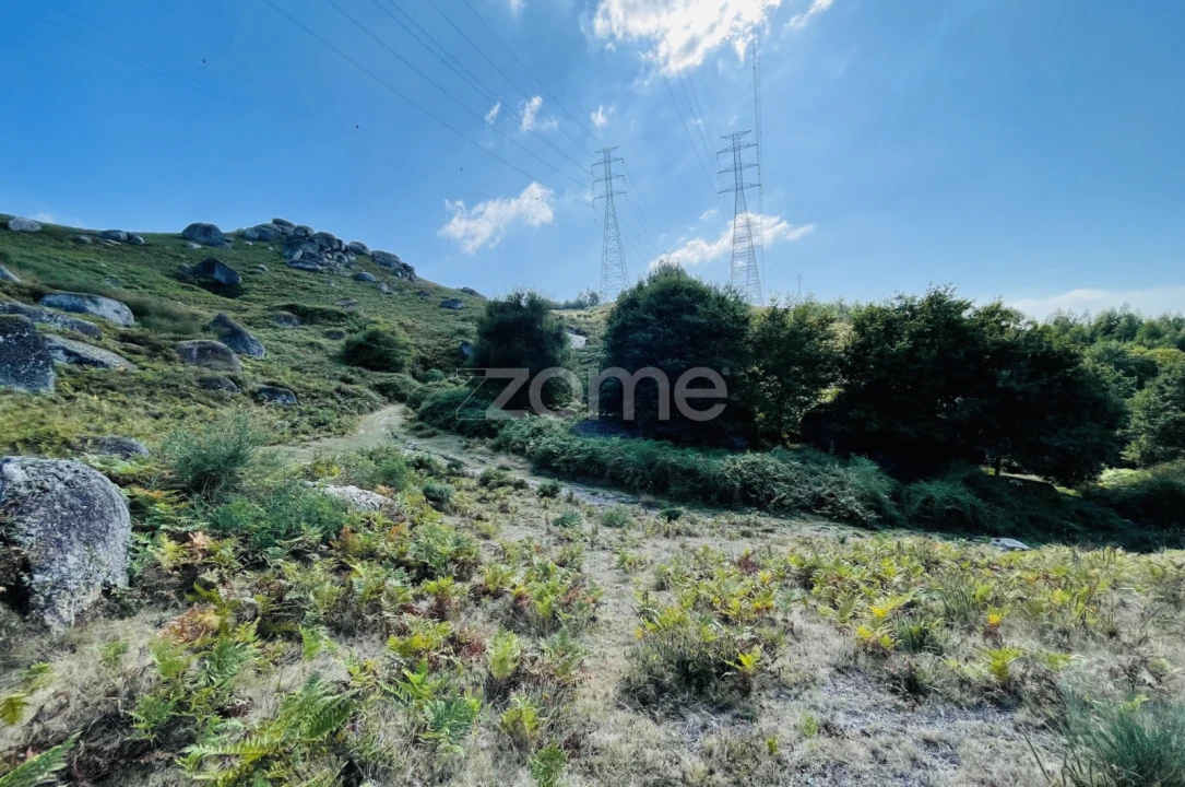 Terreno para Venda em Rossas Foto 20