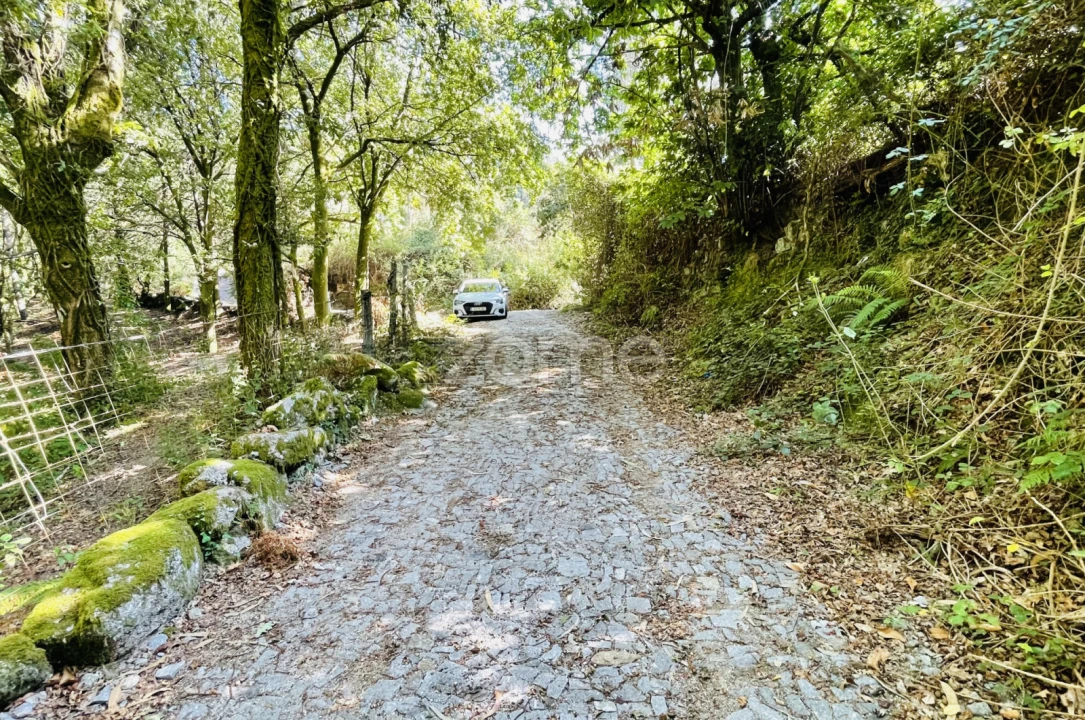 Terreno para Venda em Rossas Foto 17