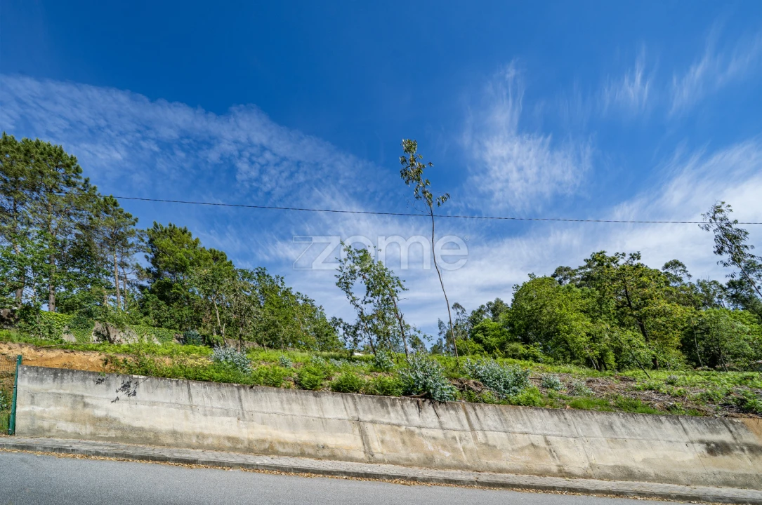 Terreno para Venda em Escariz (São Mamede) e Escariz (São Martinho) Foto 8