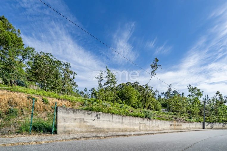 Terreno para Venda em Escariz (São Mamede) e Escariz (São Martinho) Foto 7