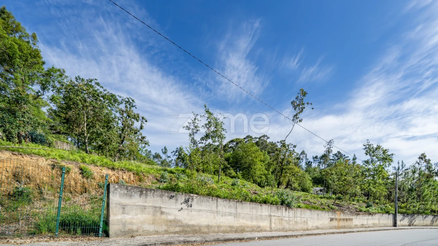 Terreno para Venda em Escariz (São Mamede) e Escariz (São Martinho)