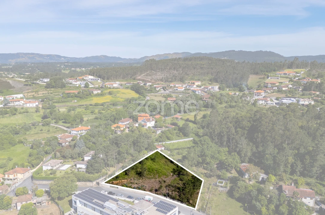 Terreno para Venda em Escariz (São Mamede) e Escariz (São Martinho) Foto 15