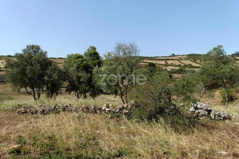 Terreno para Venda em Fanhões Foto 12