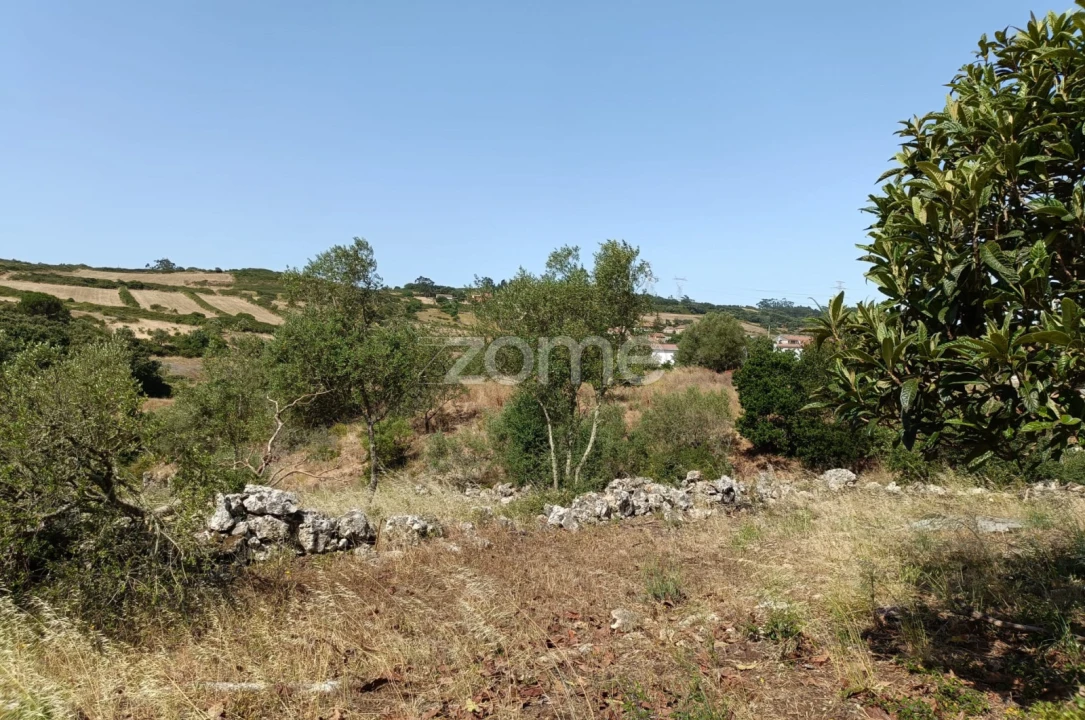 Terreno para Venda em Fanhões Foto 11
