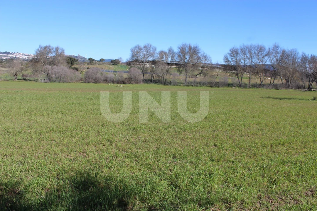 Quinta T1 para Venda em Aldeia do Bispo, Águas e Aldeia de João Pires Foto 11
