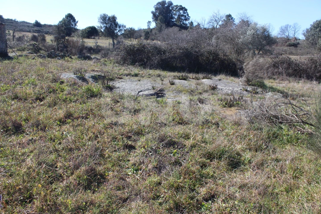 Quinta T1 para Venda em Aldeia do Bispo, Águas e Aldeia de João Pires Foto 19