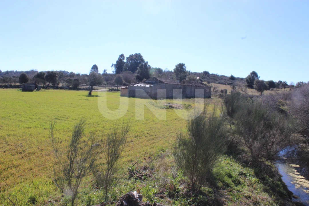 Quinta T1 para Venda em Aldeia do Bispo, Águas e Aldeia de João Pires Foto 6