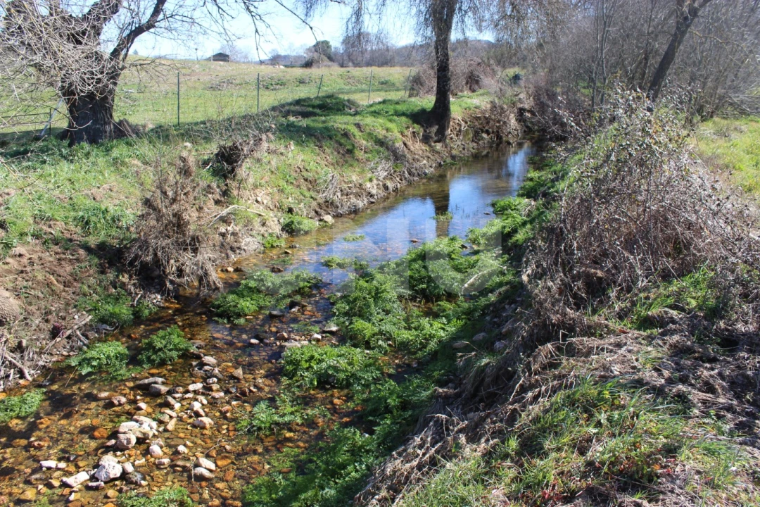 Quinta T1 para Venda em Aldeia do Bispo, Águas e Aldeia de João Pires Foto 12