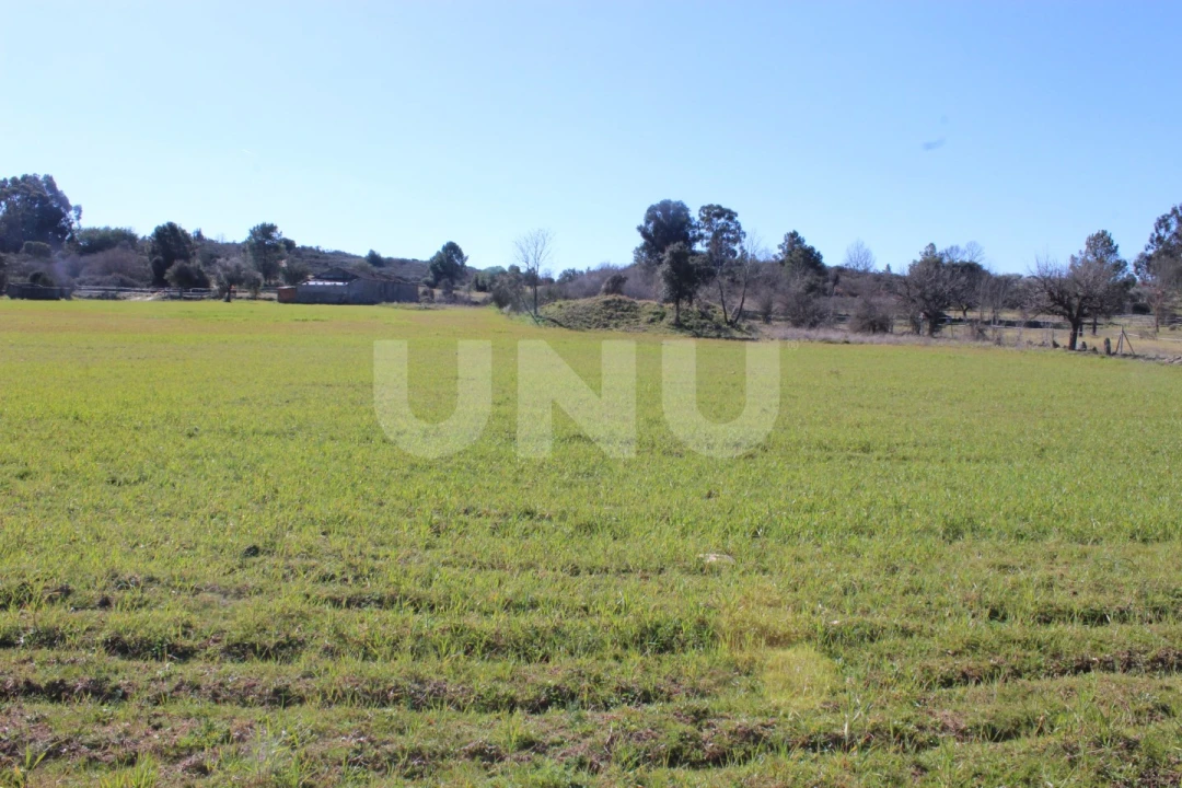 Quinta T1 para Venda em Aldeia do Bispo, Águas e Aldeia de João Pires Foto 17