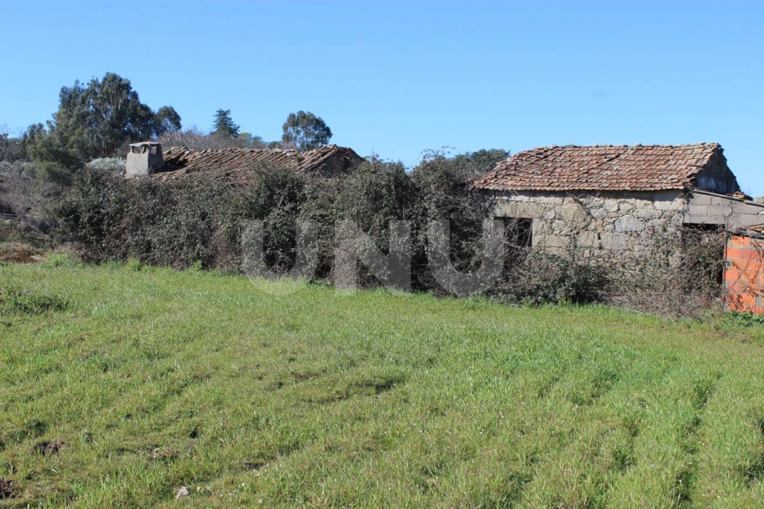 Quinta T1 para Venda em Aldeia do Bispo, Águas e Aldeia de João Pires Foto 1