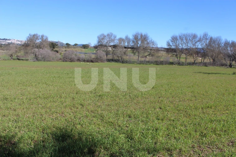 Quinta T1 para Venda em Aldeia do Bispo, Águas e Aldeia de João Pires Foto 11