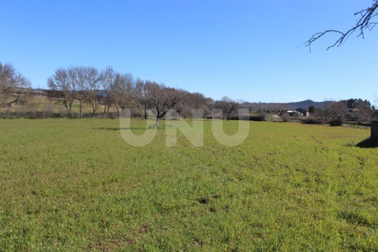 Quinta T1 para Venda em Aldeia do Bispo, Águas e Aldeia de João Pires Foto 9