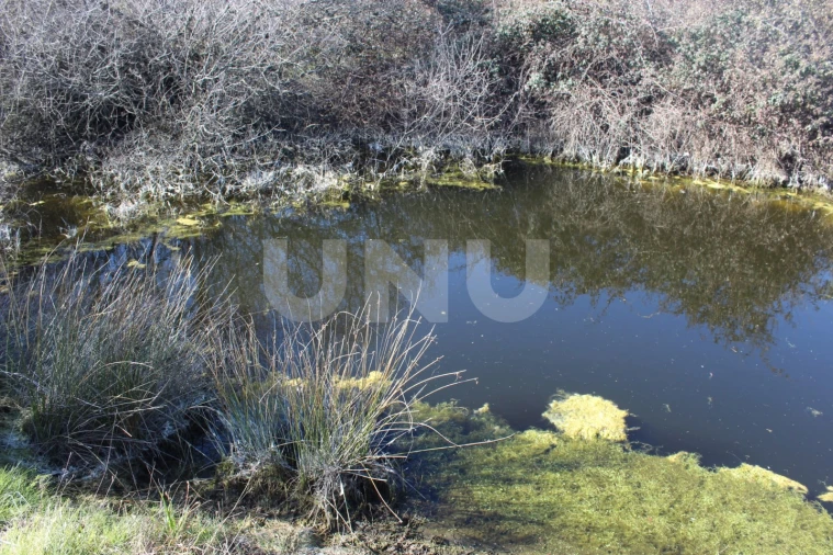 Quinta T1 para Venda em Aldeia do Bispo, Águas e Aldeia de João Pires Foto 4