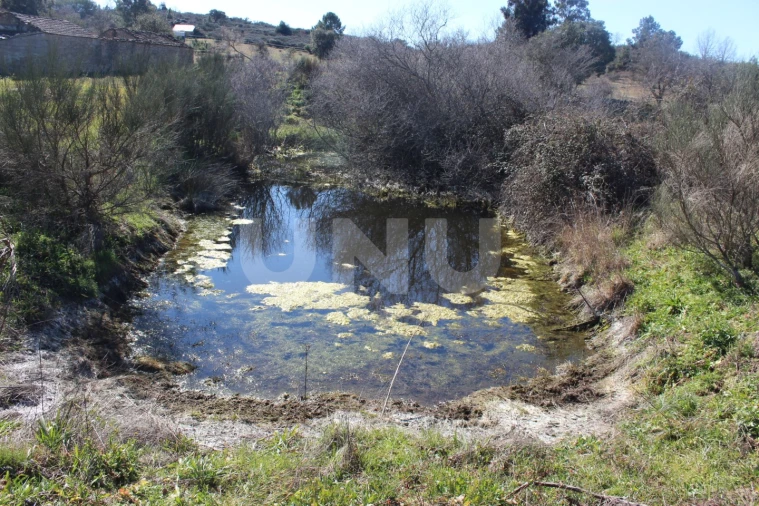 Quinta T1 para Venda em Aldeia do Bispo, Águas e Aldeia de João Pires Foto 5