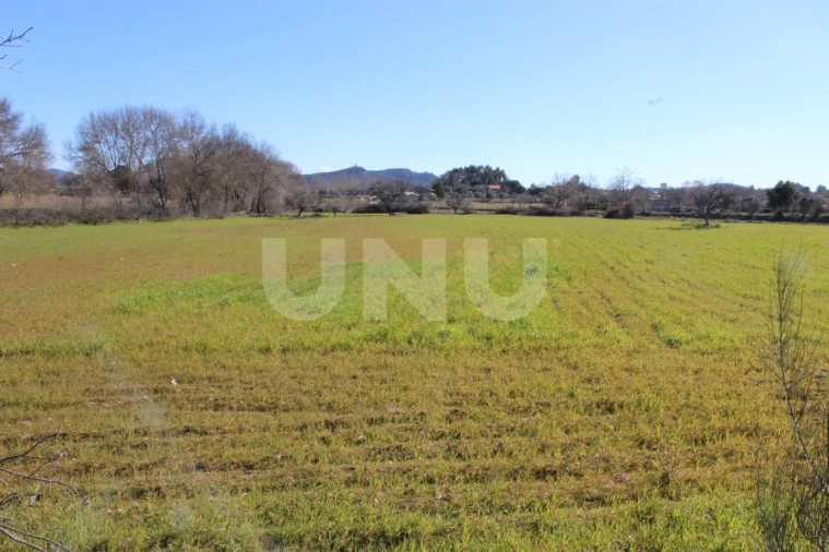 Quinta T1 para Venda em Aldeia do Bispo, Águas e Aldeia de João Pires Foto 15