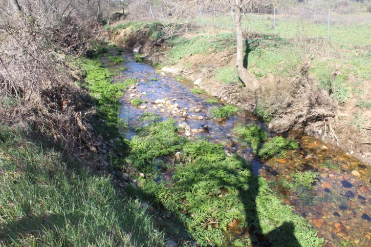 Quinta T1 para Venda em Aldeia do Bispo, Águas e Aldeia de João Pires Foto 3