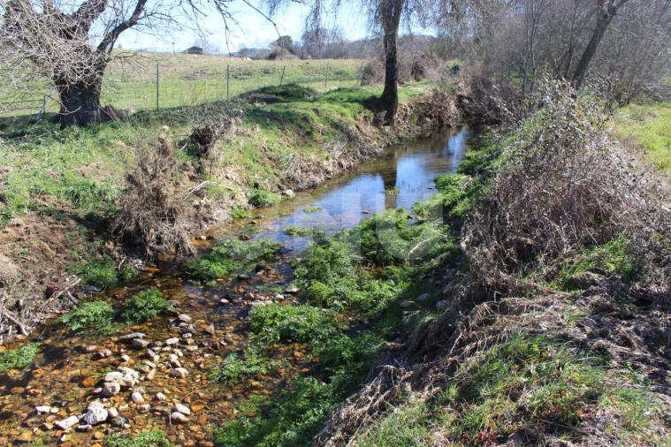 Quinta T1 para Venda em Aldeia do Bispo, Águas e Aldeia de João Pires Foto 12