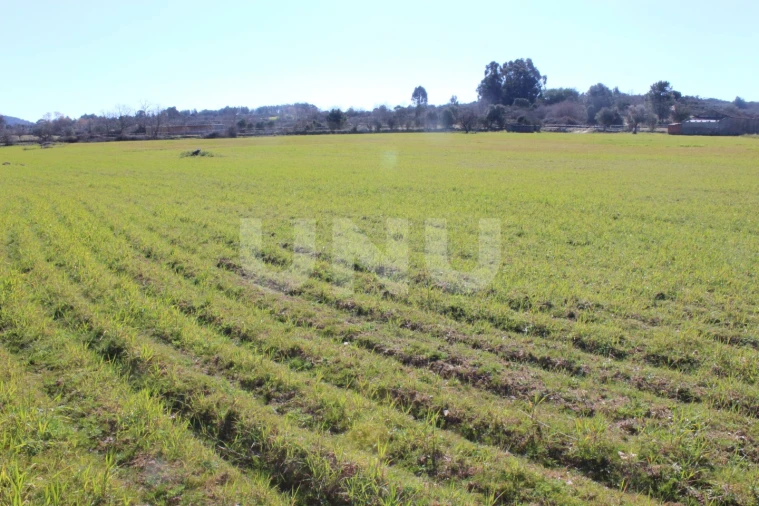 Quinta T1 para Venda em Aldeia do Bispo, Águas e Aldeia de João Pires Foto 10