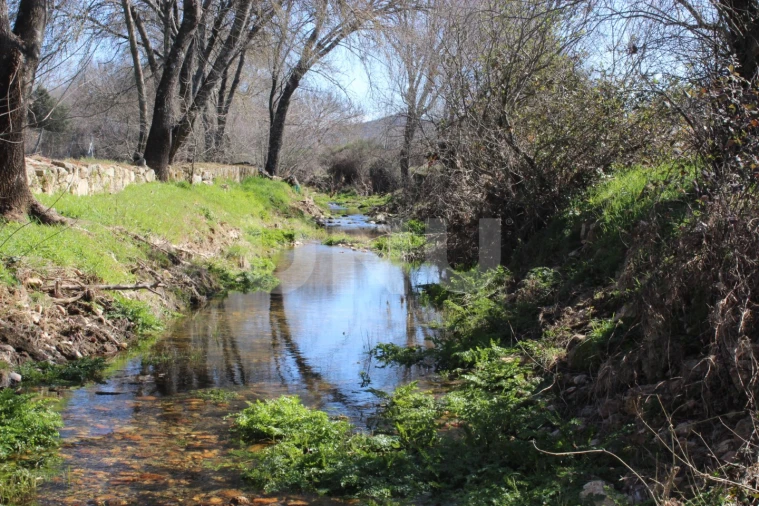 Quinta T1 para Venda em Aldeia do Bispo, Águas e Aldeia de João Pires Foto 2