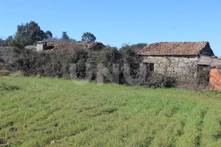 Quinta T1 para Venda em Aldeia do Bispo, Águas e Aldeia de João Pires Foto 1