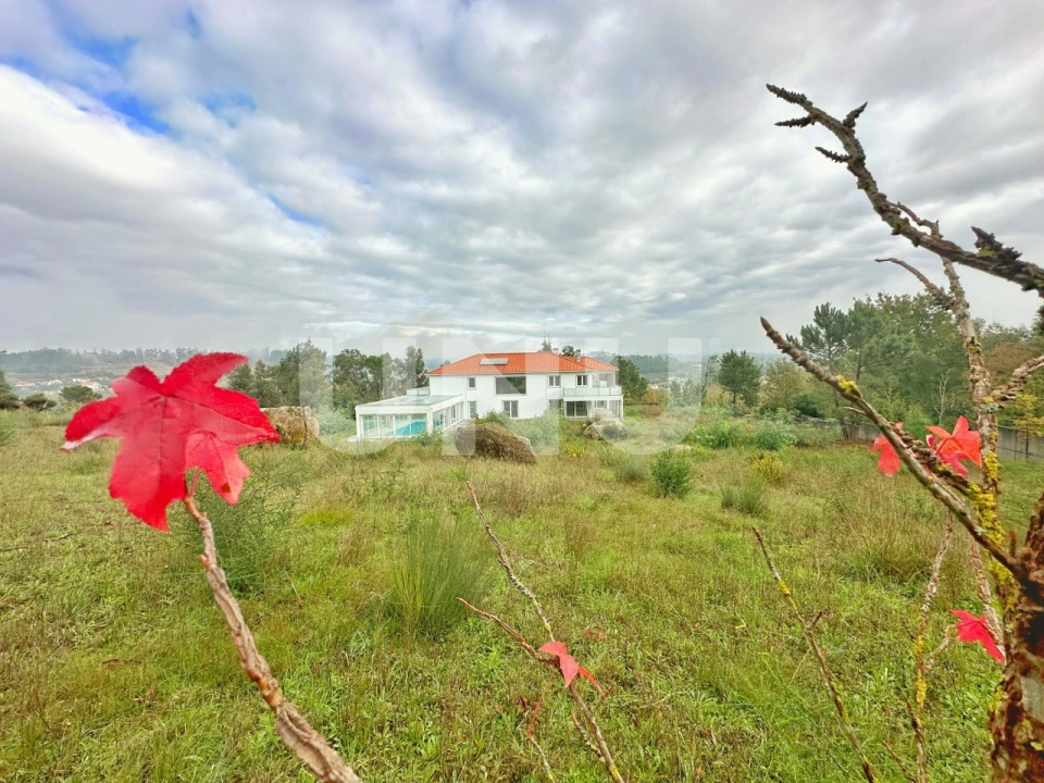 Quinta T5 para Venda em São Cipriano e Vil de Souto Foto 37