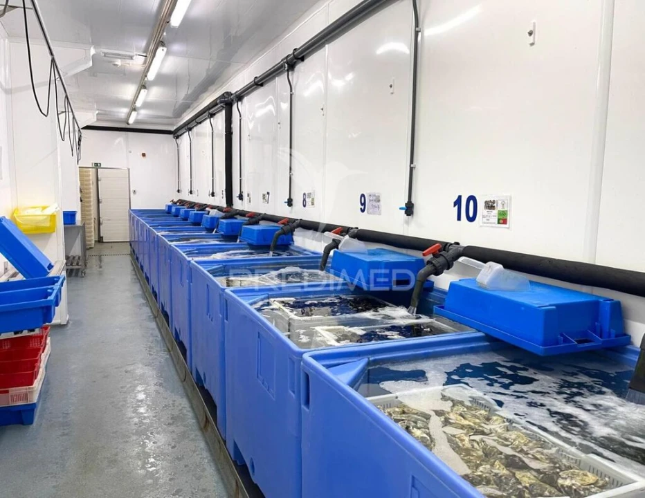 Armazém para Venda em Sines Foto 6