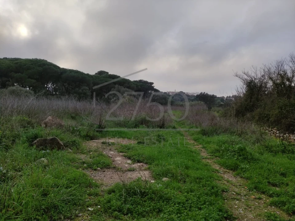 Terreno para Venda em Cascais e Estoril Foto 5