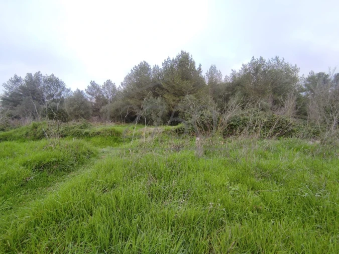 Terreno para Venda em Cascais e Estoril Foto 4
