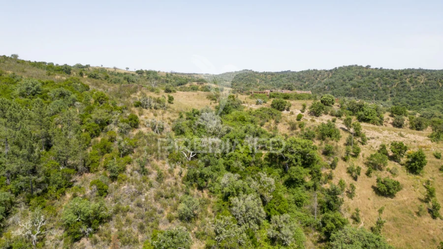 Quinta T3 para Venda em São Salvador e Santa Maria Foto 16