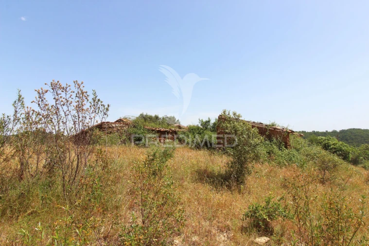 Quinta T3 para Venda em São Salvador e Santa Maria Foto 6