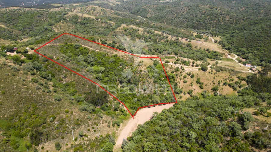 Quinta T3 para Venda em São Salvador e Santa Maria Foto 10