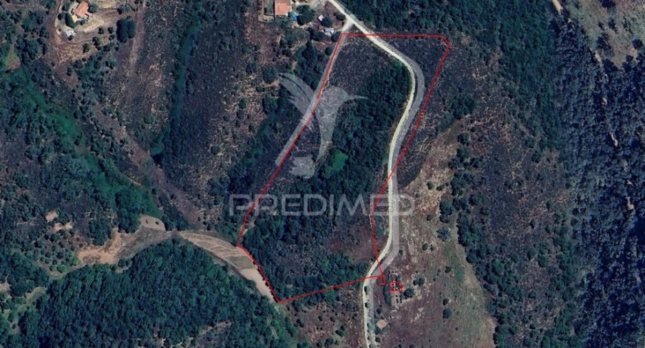 Quinta T3 para Venda em São Salvador e Santa Maria Foto 19