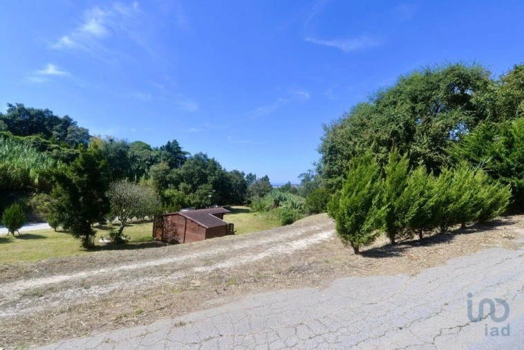 Terreno para Venda em Alfeizerão Foto 14