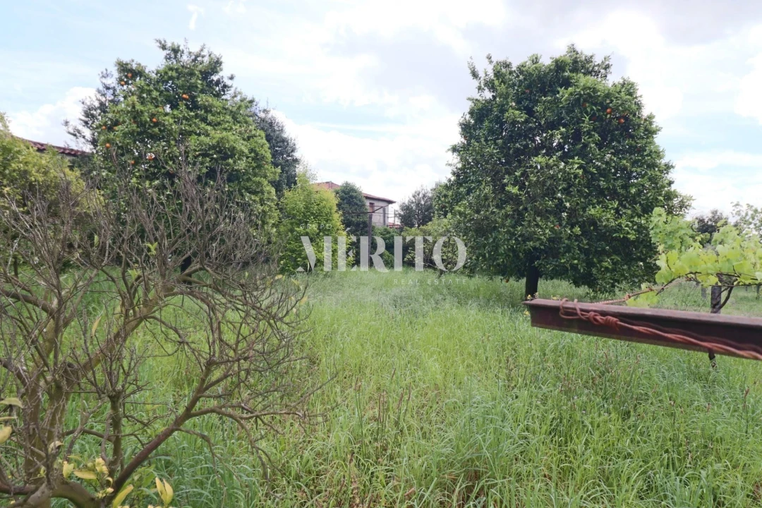 Quinta T5 para Venda em Sande São Lourenço e Balazar Foto 27