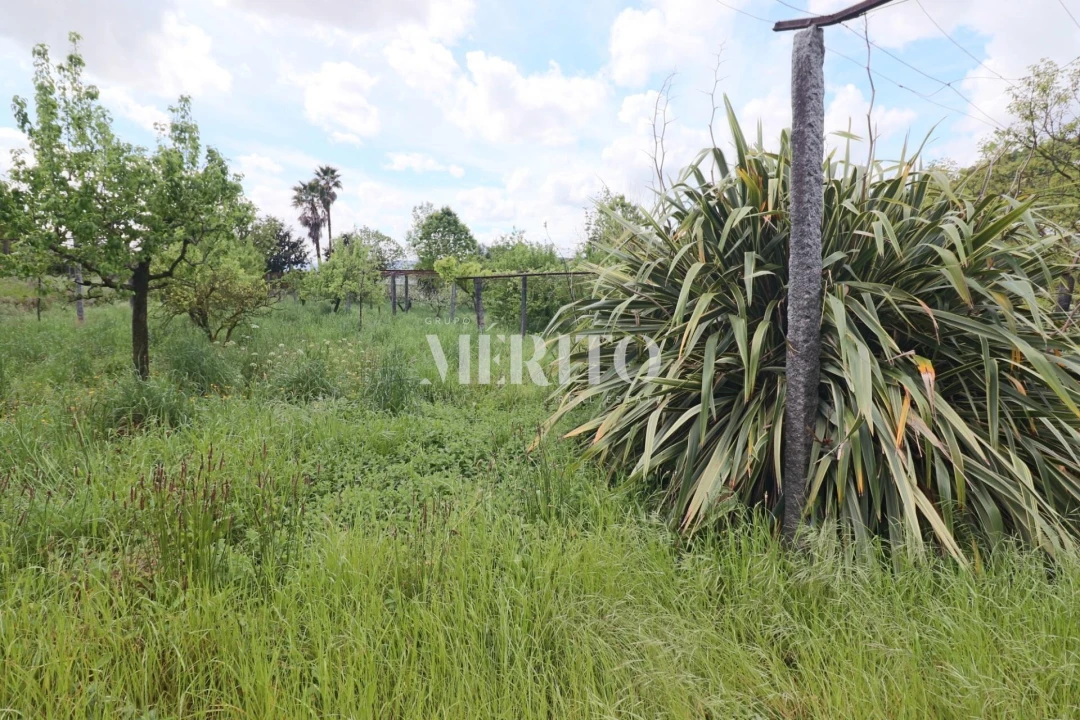 Quinta T5 para Venda em Sande São Lourenço e Balazar Foto 25