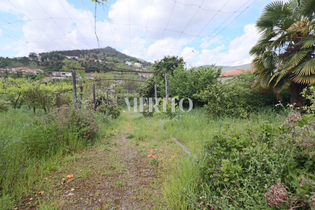 Quinta T5 para Venda em Sande São Lourenço e Balazar Foto 20