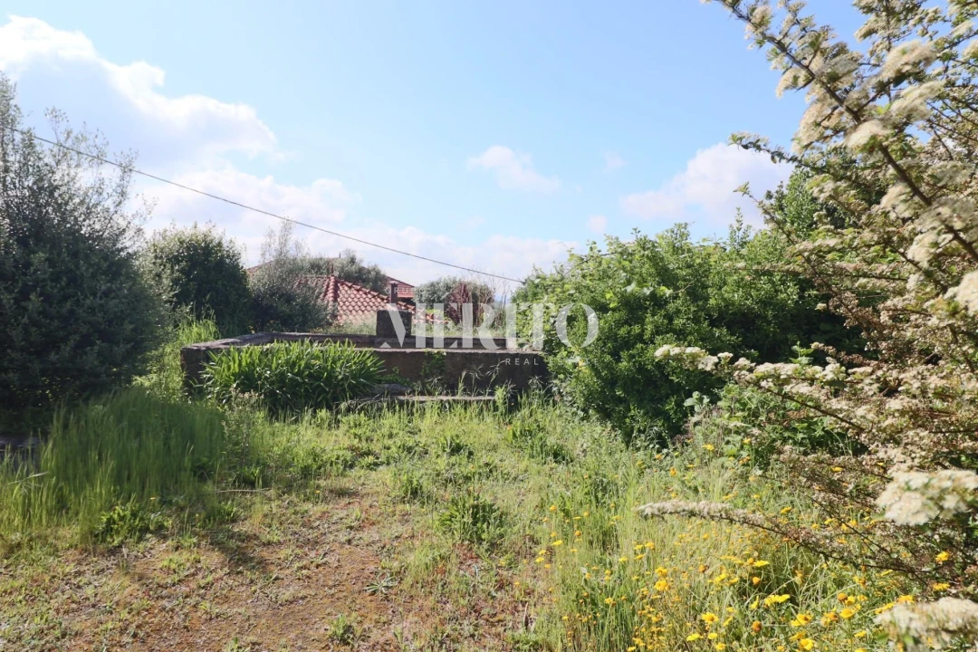 Quinta T5 para Venda em Sande São Lourenço e Balazar Foto 78